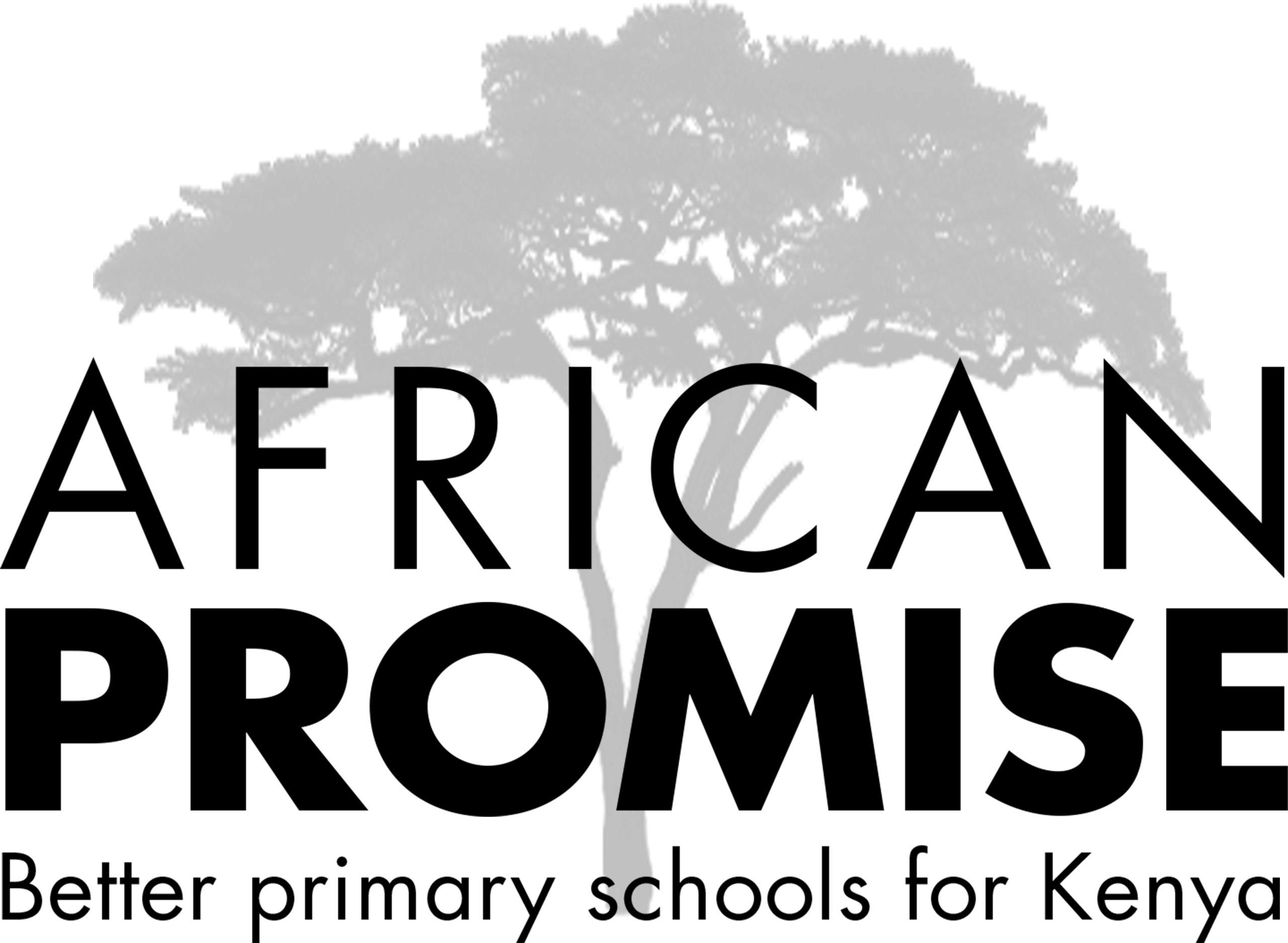 African-Promise-logo-black-cropped-high-res